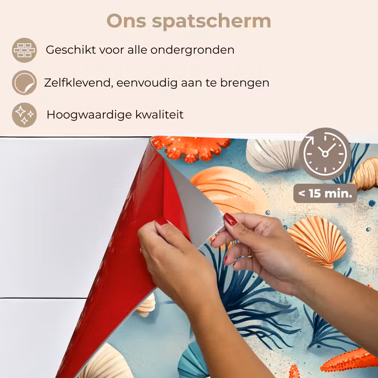 Spatscherm keuken - Zeesterren - Schelpen - Illustratie - Zand — 4