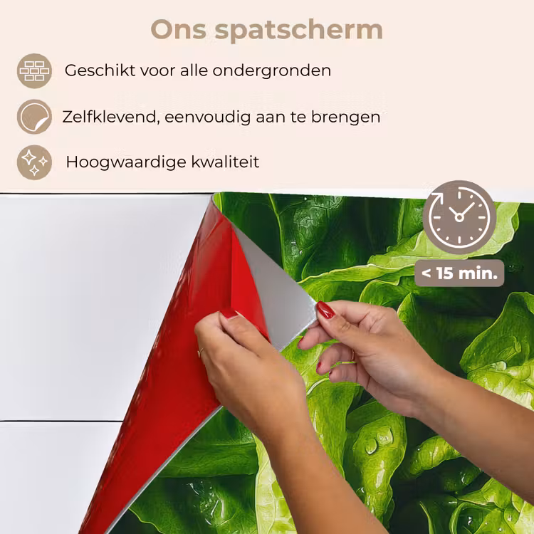 Spatscherm keuken - Groente - Sla - Groen — 4