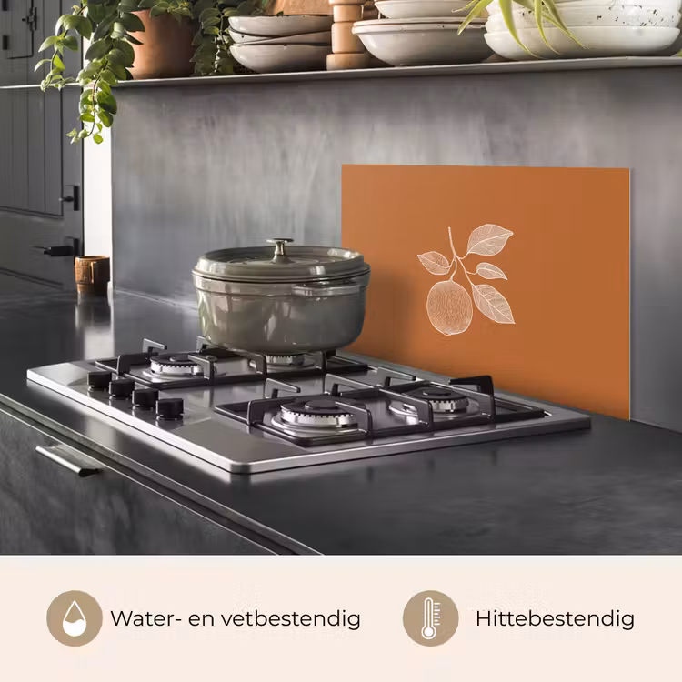 Spatscherm keuken - Sinaasappel - Getekend - Bladeren - Bruin — 7