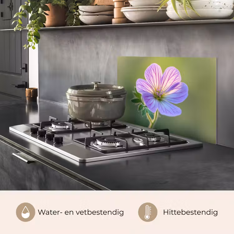 Spatscherm keuken - Bloem - Close up - Paars — 7