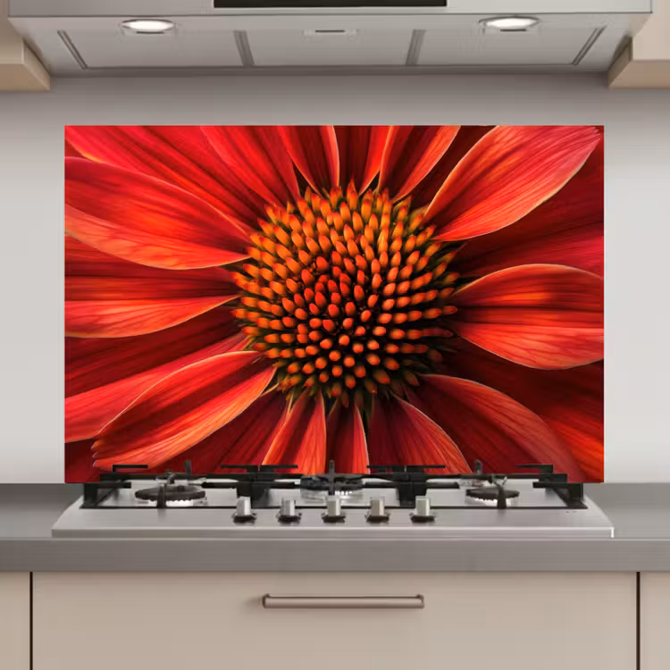 Spatscherm keuken - Close up - Bloem- Rood — 1