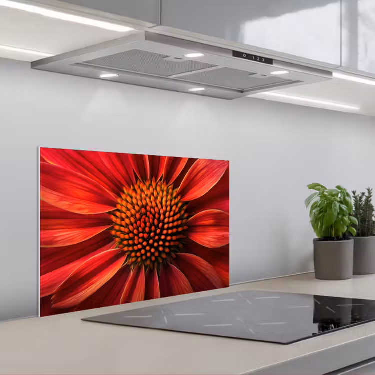 Spatscherm keuken - Close up - Bloem- Rood — 5