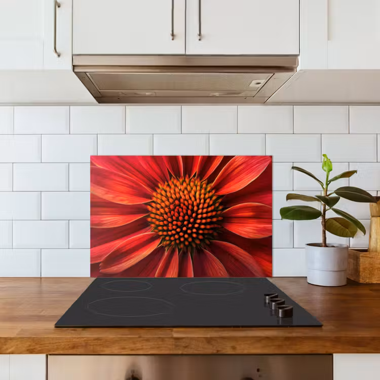 Spatscherm keuken - Close up - Bloem- Rood — 6