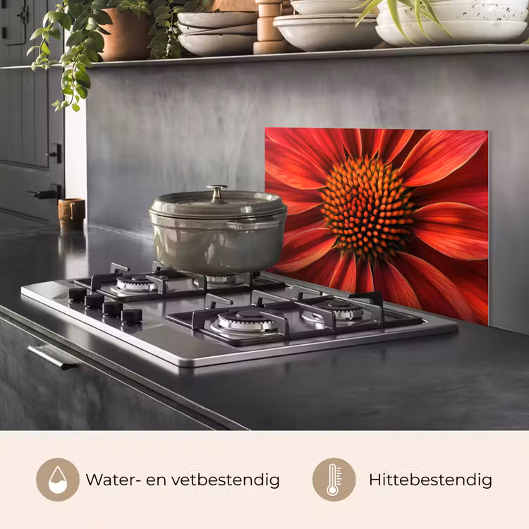 Spatscherm keuken - Close up - Bloem- Rood — 7