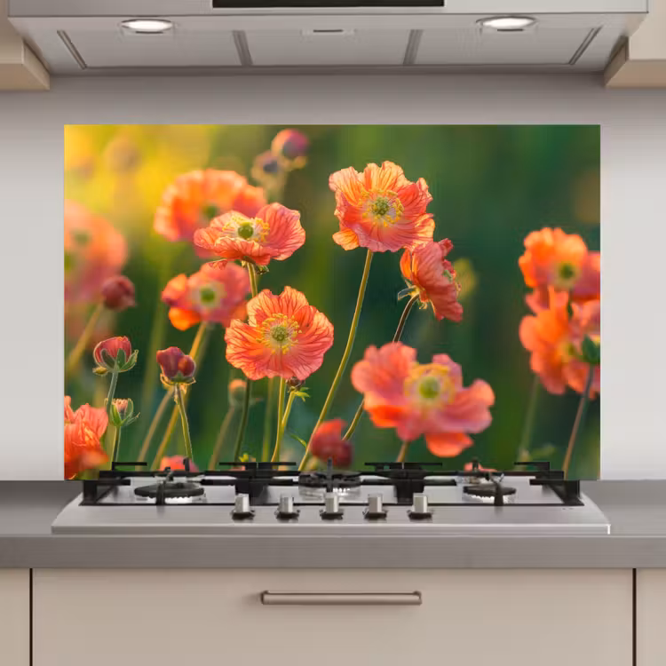 Spatscherm keuken - Bloemenveld - Zonnestralen - Oranje — 1