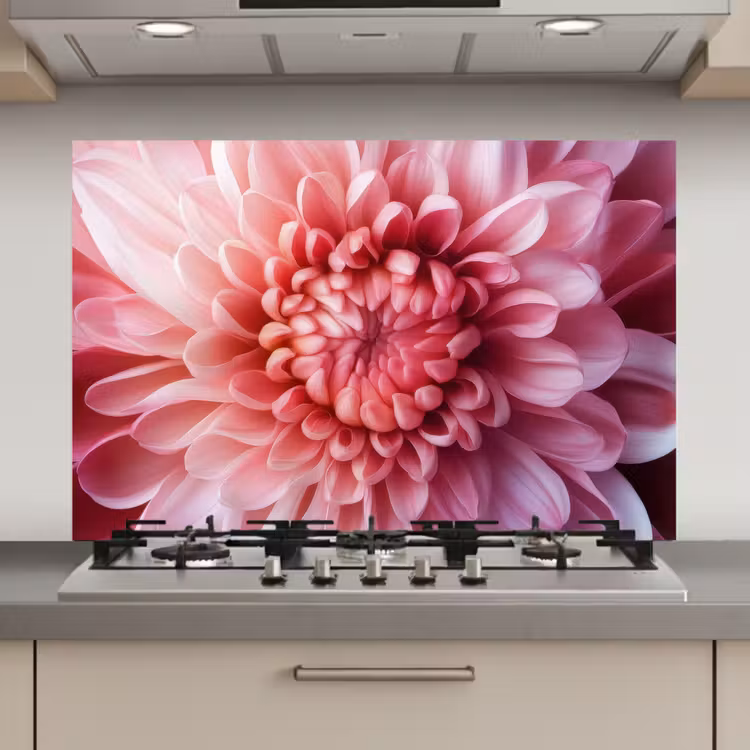 Spatscherm keuken - Dahlia - Bloem - Close up - Roze — 1