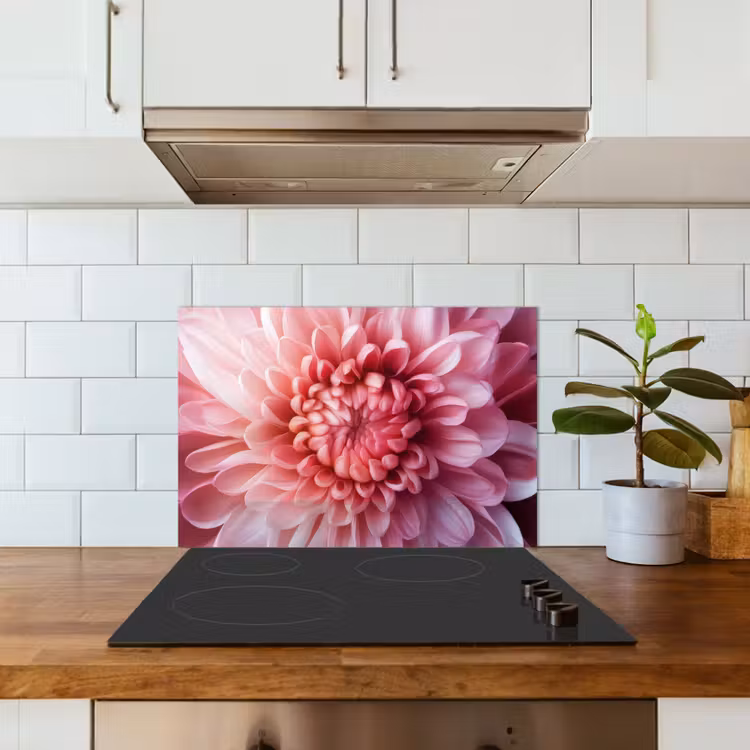 Spatscherm keuken - Dahlia - Bloem - Close up - Roze — 6
