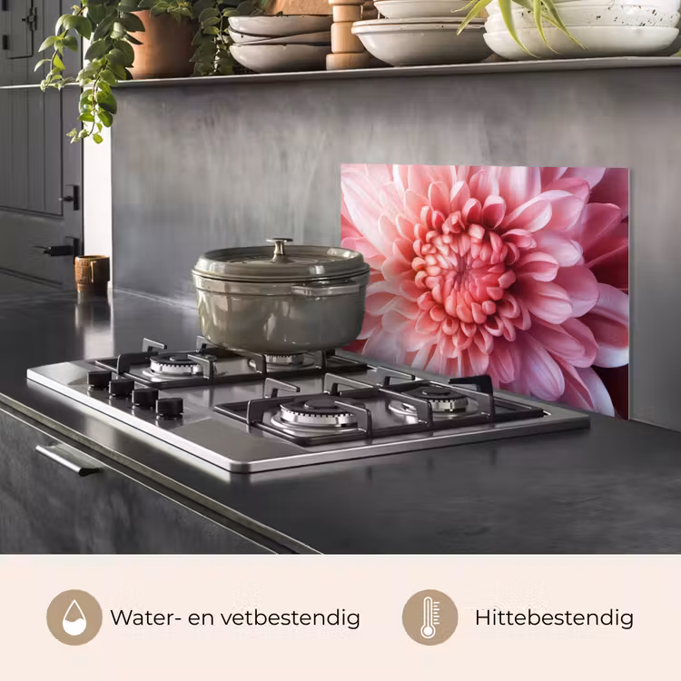 Spatscherm keuken - Dahlia - Bloem - Close up - Roze — 7
