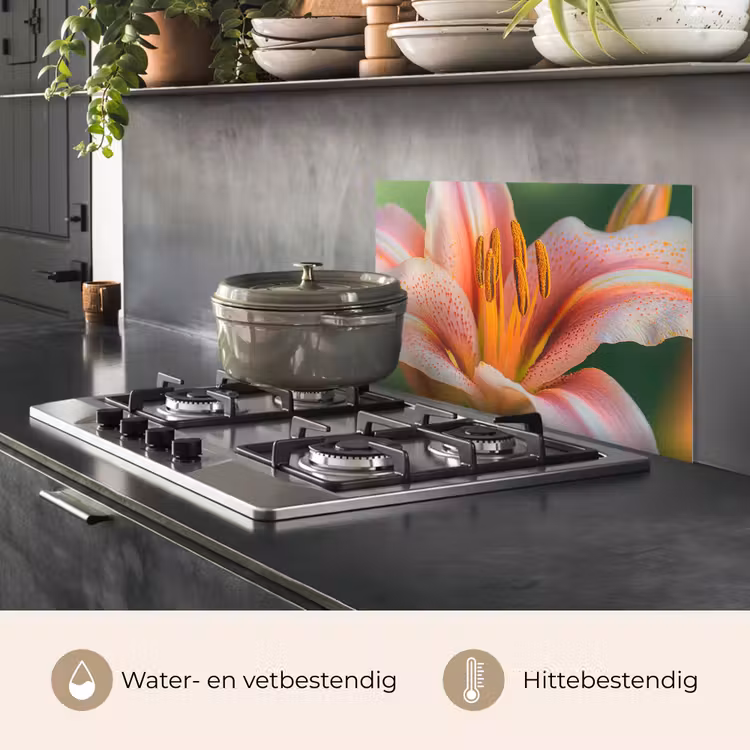 Spatscherm keuken - Lelie - Close up - Lichtroze — 7