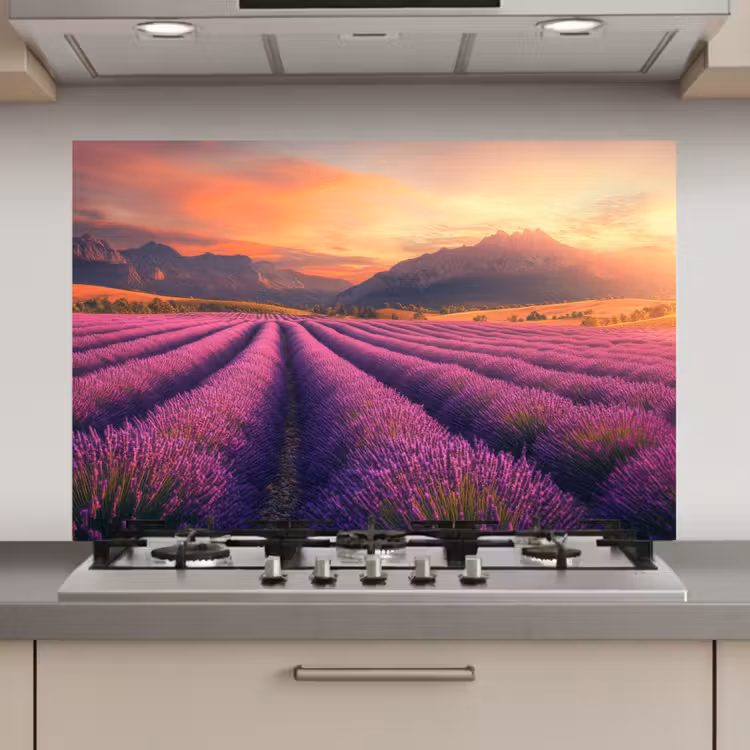 Spatscherm keuken - Lavendelveld - Zonsondergang - Paars — 1
