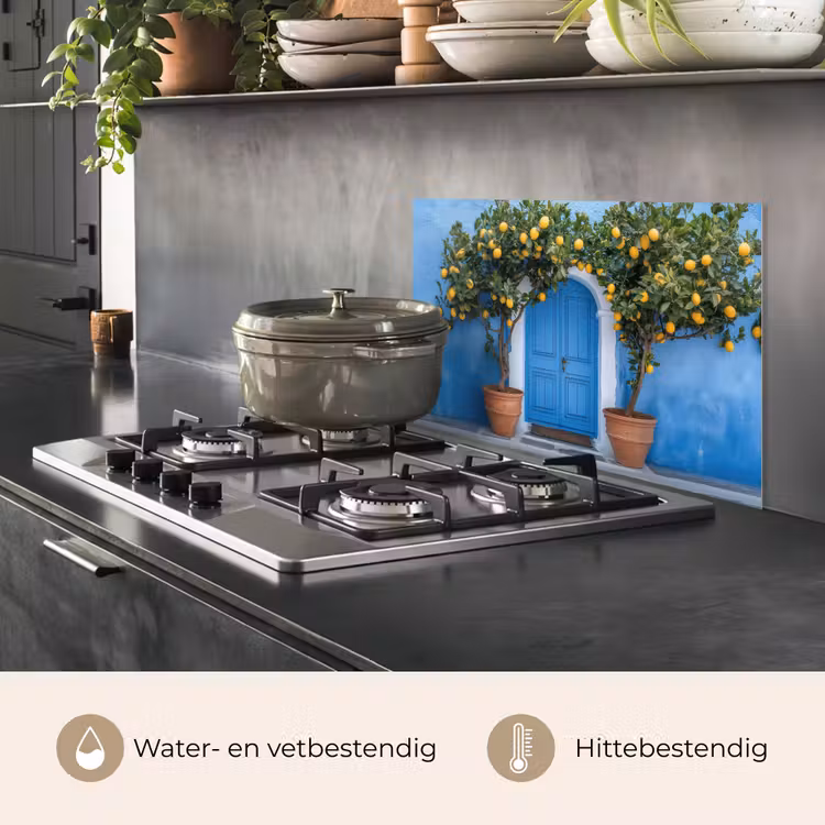 Spatscherm keuken - Citroenbomen - Geel - Deur - Potten — 6