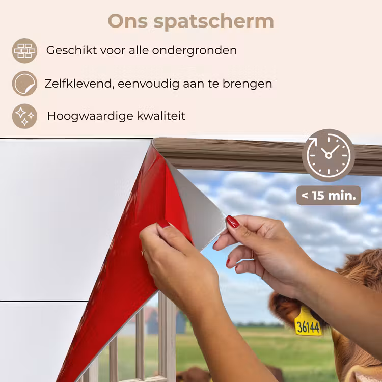 Spatscherm keuken - Doorkijk - Koe - Weiland - Landschap - Dieren — 4