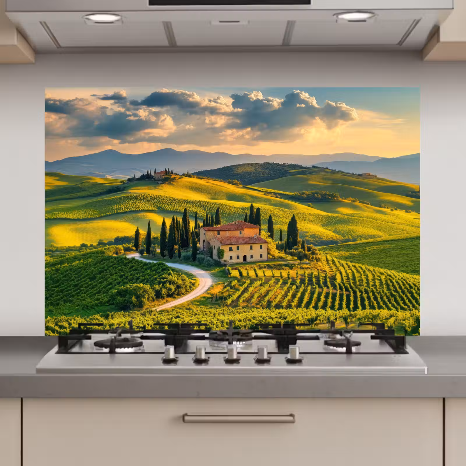 Spatscherm keuken - Toscane - Landschap - Wijngaarden — 1