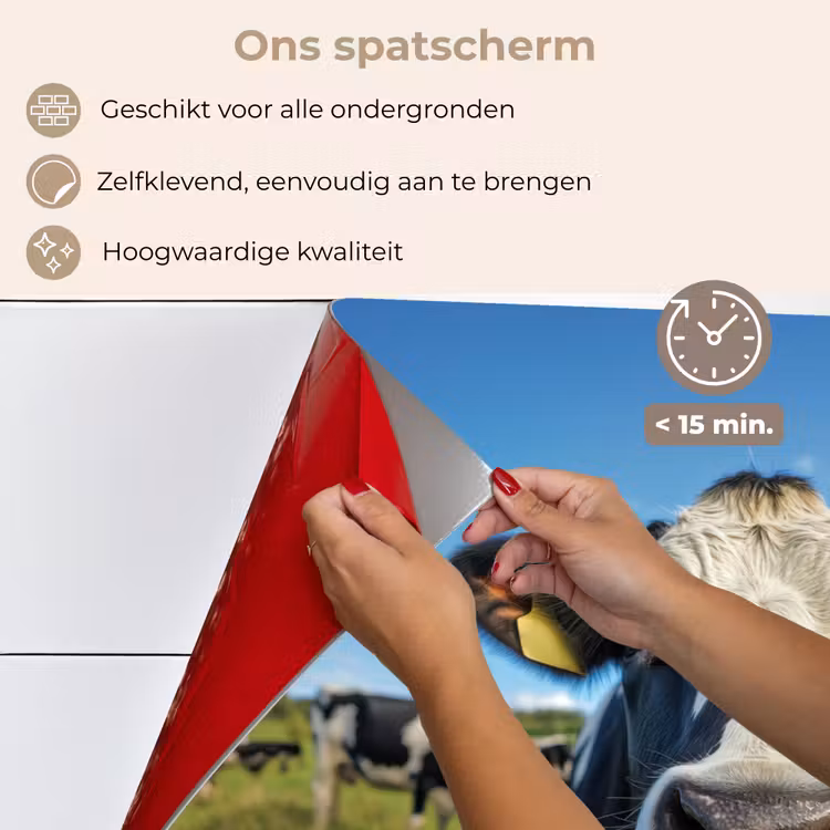 Spatscherm keuken - Koe - Tong - Weide — 4