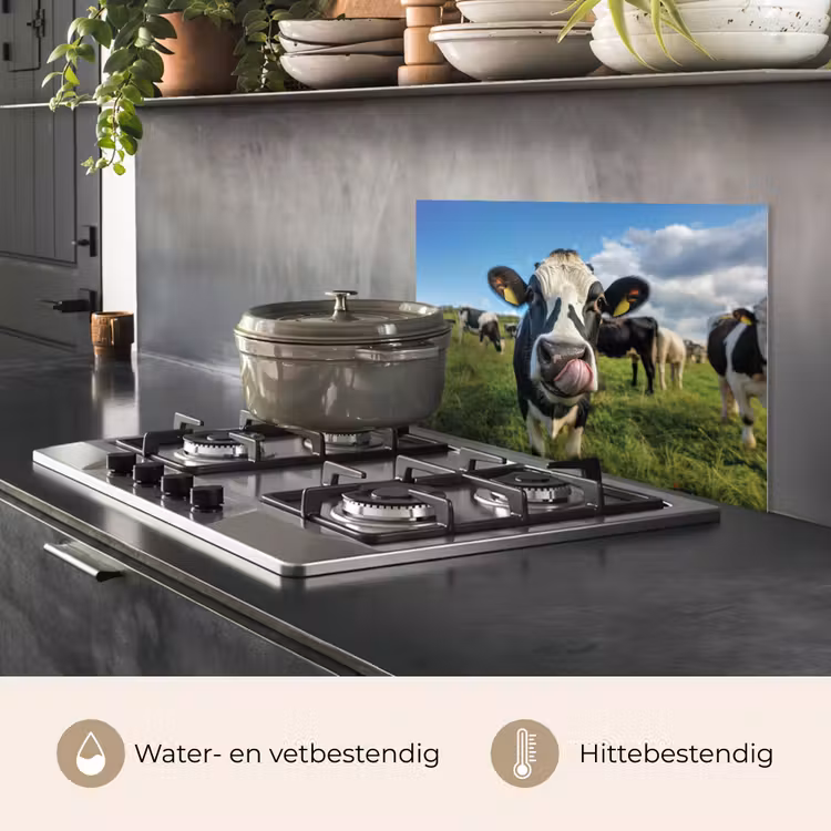 Spatscherm keuken - Koe - Tong - Weide — 7