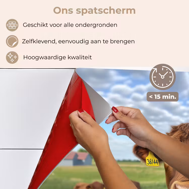 Spatscherm keuken - Koe - Weide - Bloemen — 4