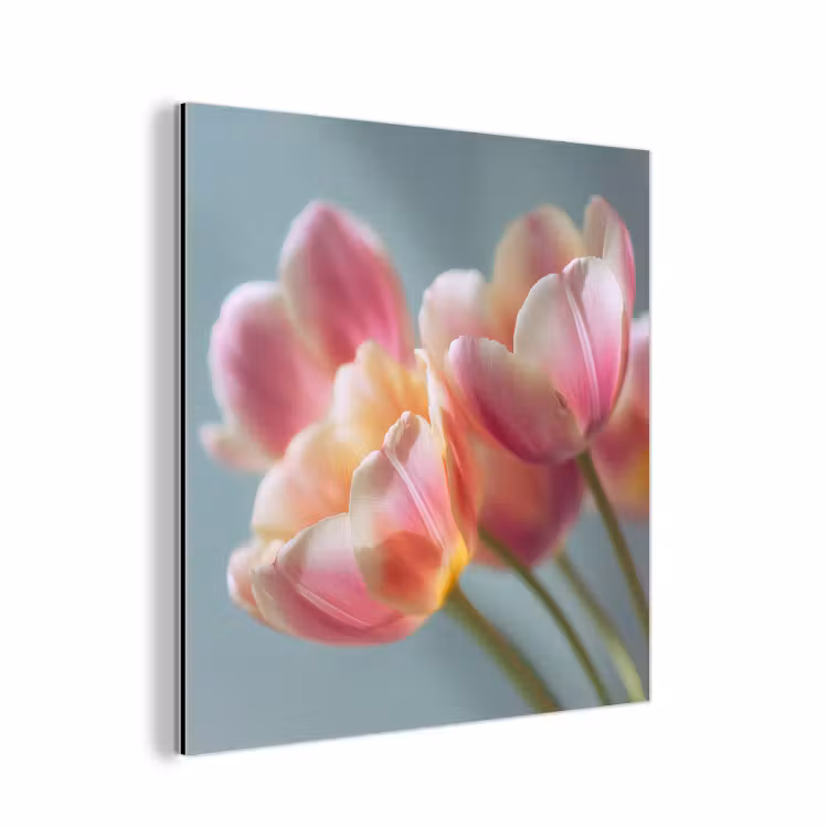 Aluminium schilderij - Tulpen - Roze - Stelen — 1