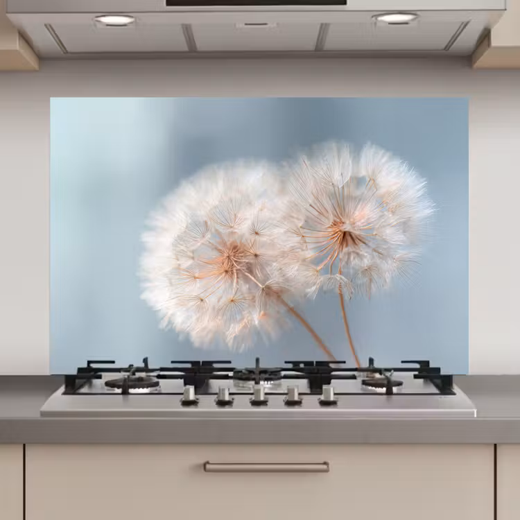 Spatscherm keuken - Paardenbloemen - Pluisjes - Wit — 1