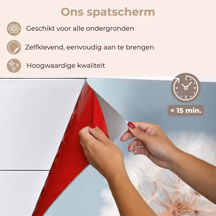 Spatscherm keuken - Paardenbloemen - Pluisjes - Wit — 4
