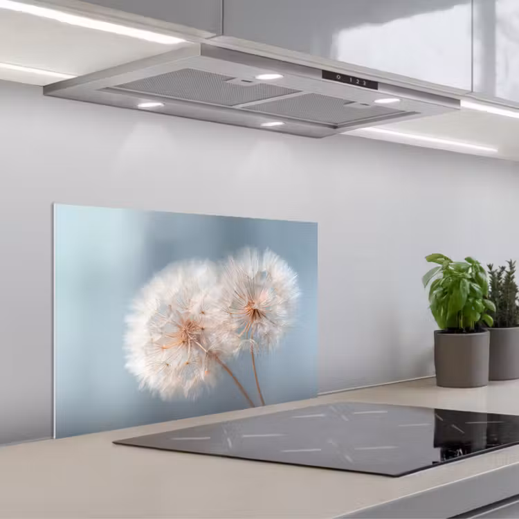Spatscherm keuken - Paardenbloemen - Pluisjes - Wit — 5