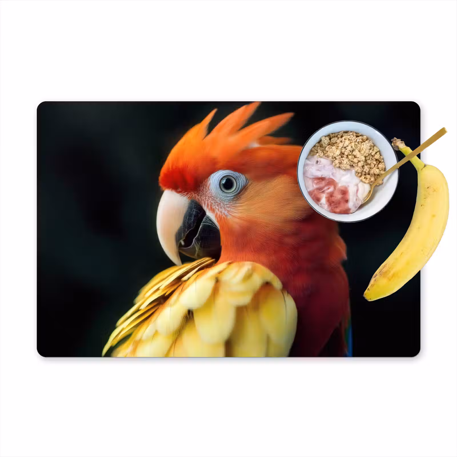 Placemat - 6 stuks - Close-up - Papegaai - Veren - Oranje — 1
