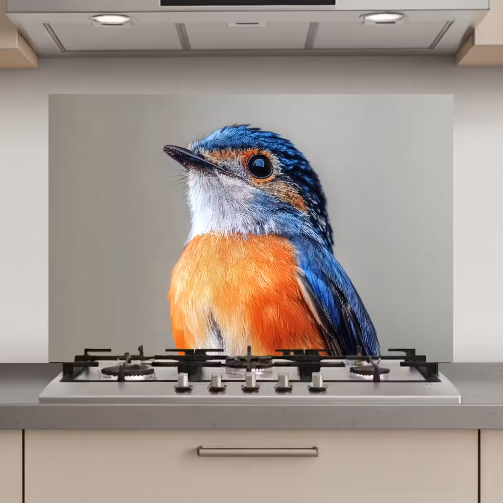 Spatscherm keuken - Kleurrijk - Vogeltje - Veren - Blauw — 1