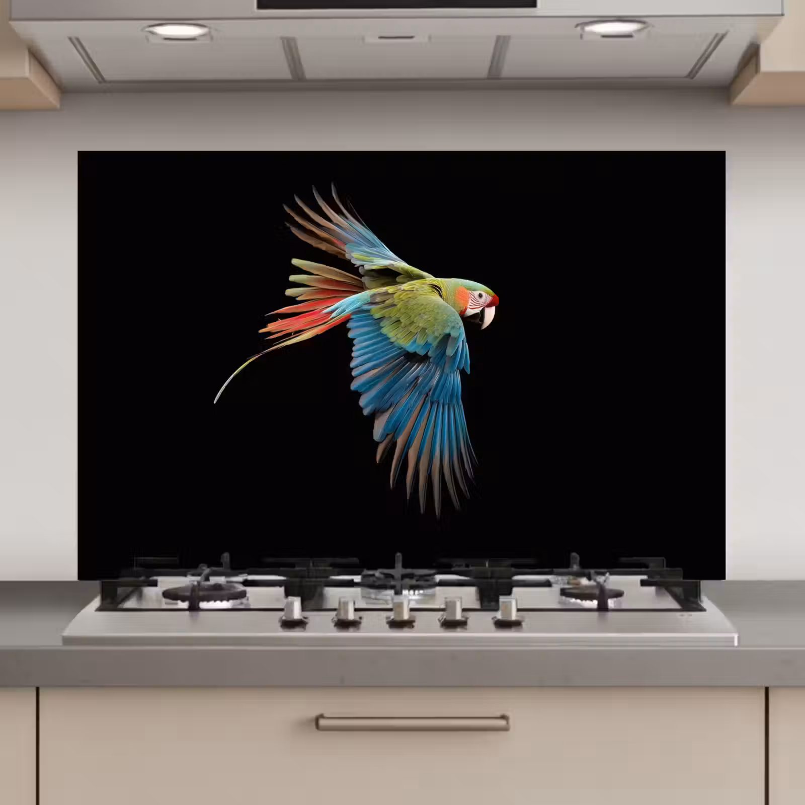 Spatscherm keuken - Papegaai - Kleurrijk - Vleugels - Sierlijk — 1