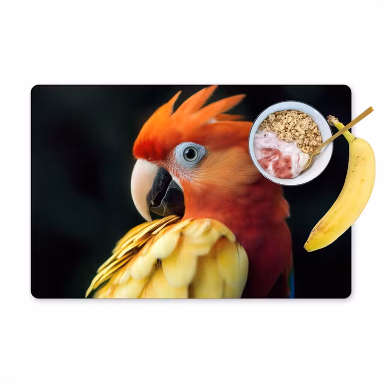 Placemat - 6 stuks - Close-up - Papegaai - Veren - Oranje — 1