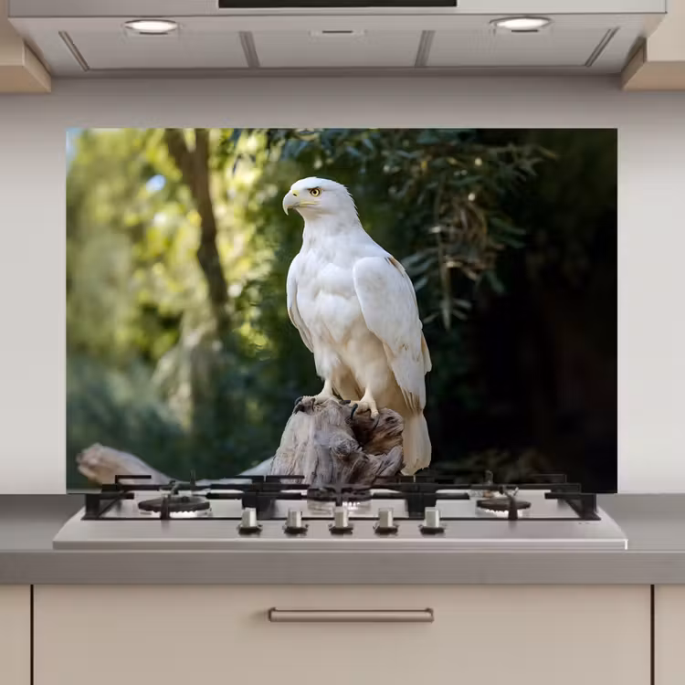Spatscherm keuken - Arend - Hout - Wit - Planten — 1