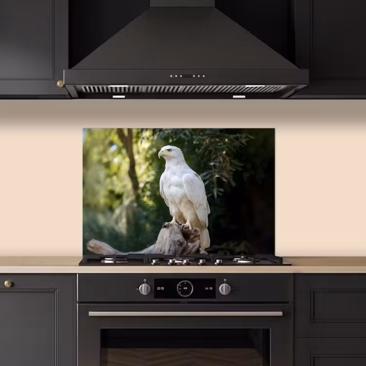 Spatscherm keuken - Arend - Hout - Wit - Planten — 2