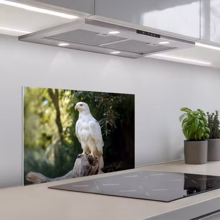 Spatscherm keuken - Arend - Hout - Wit - Planten — 5