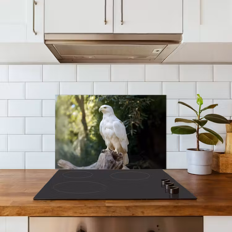Spatscherm keuken - Arend - Hout - Wit - Planten — 6
