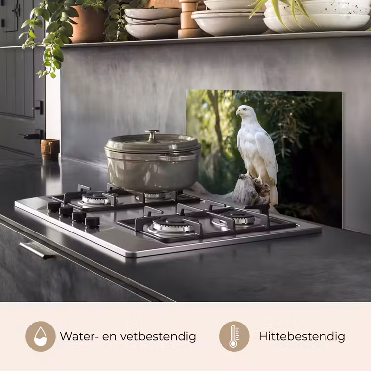 Spatscherm keuken - Arend - Hout - Wit - Planten — 7