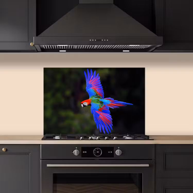 Spatscherm keuken - Felgekleurd - Papegaai - Bos - Vleugels — 2