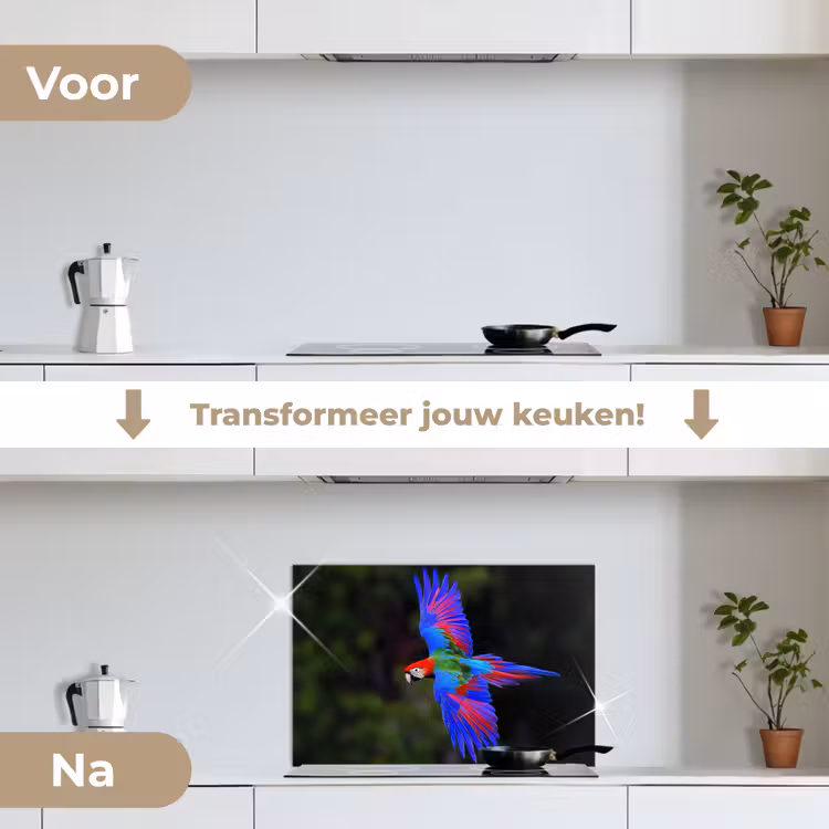 Spatscherm keuken - Felgekleurd - Papegaai - Bos - Vleugels — 3