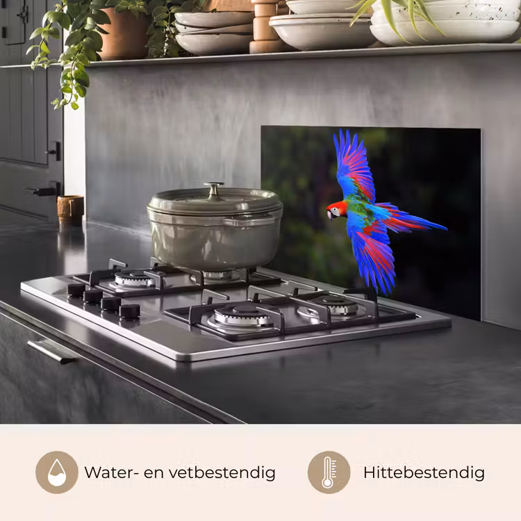 Spatscherm keuken - Felgekleurd - Papegaai - Bos - Vleugels — 7