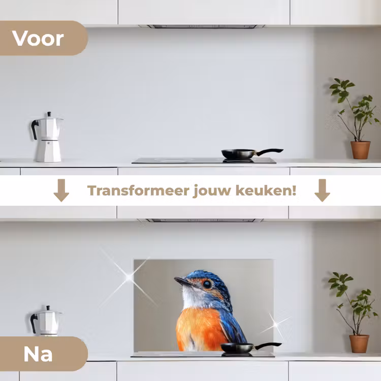 Spatscherm keuken - Kleurrijk - Vogeltje - Veren - Blauw — 3