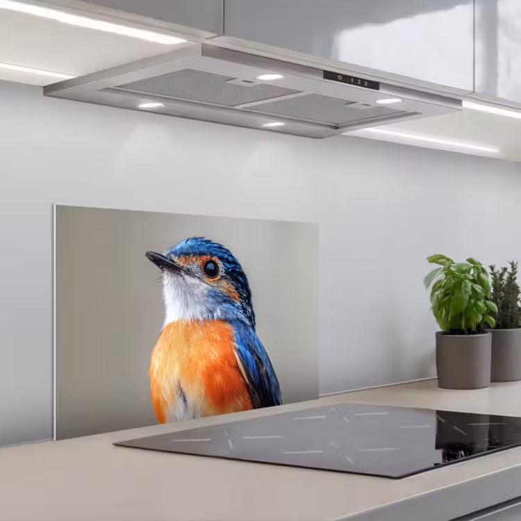 Spatscherm keuken - Kleurrijk - Vogeltje - Veren - Blauw — 5