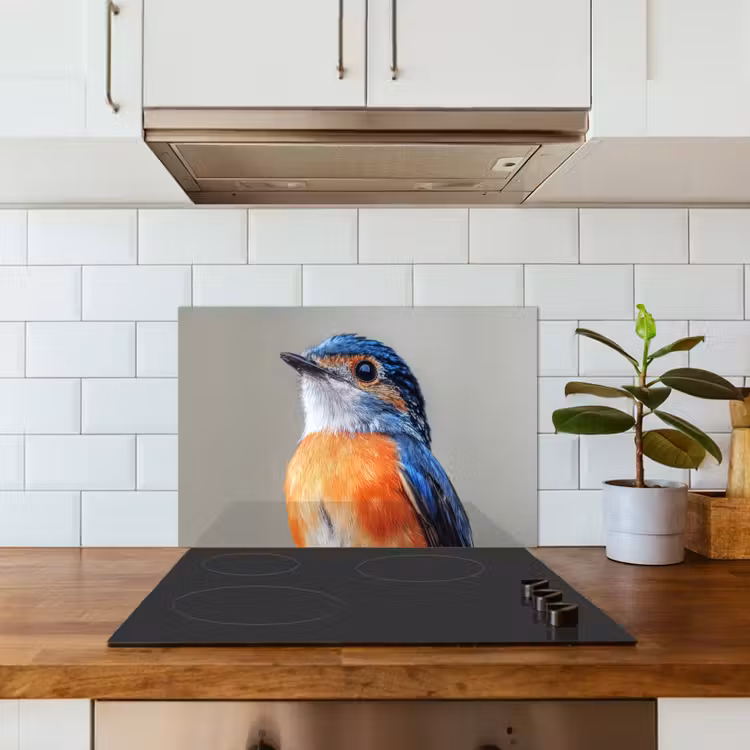 Spatscherm keuken - Kleurrijk - Vogeltje - Veren - Blauw — 6