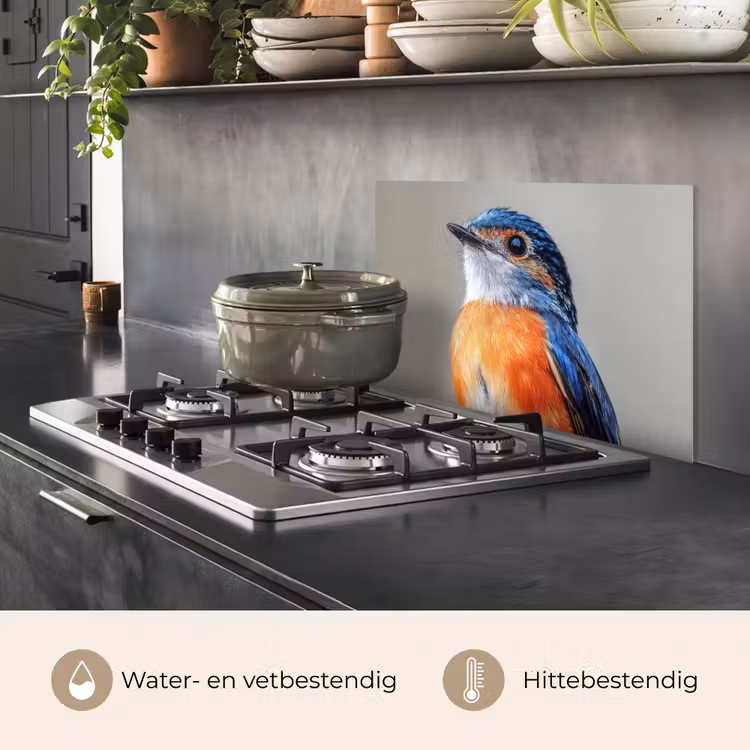 Spatscherm keuken - Kleurrijk - Vogeltje - Veren - Blauw — 7