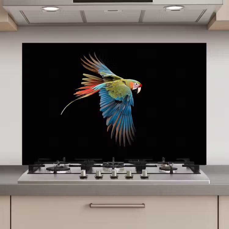 Spatscherm keuken - Papegaai - Kleurrijk - Vleugels - Sierlijk — 1