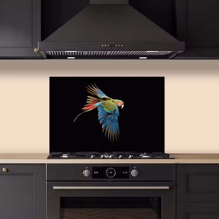 Spatscherm keuken - Papegaai - Kleurrijk - Vleugels - Sierlijk — 2