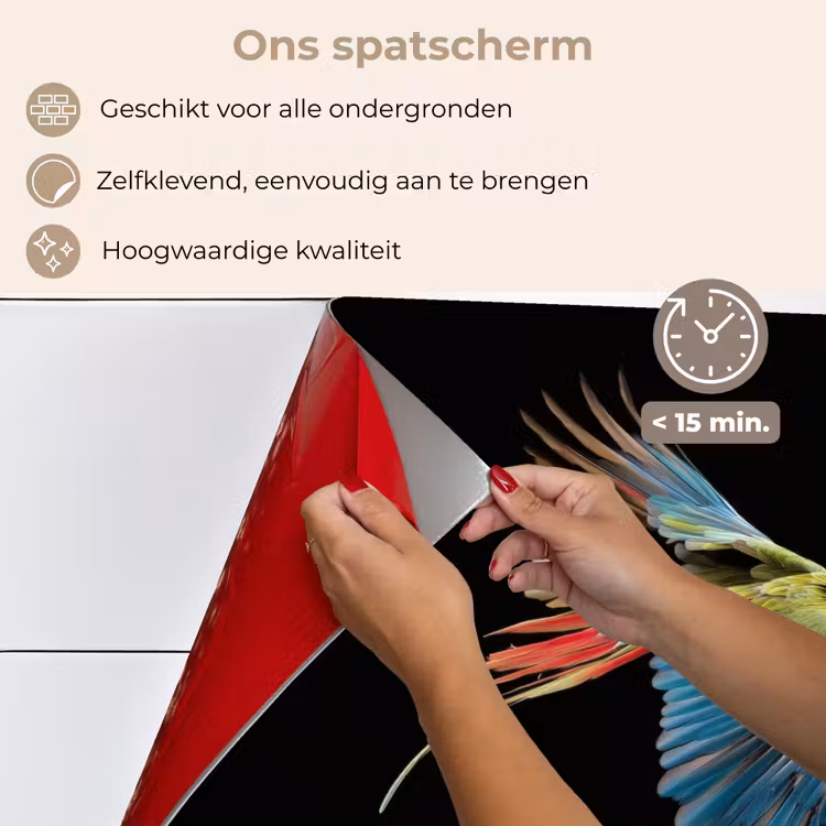 Spatscherm keuken - Papegaai - Kleurrijk - Vleugels - Sierlijk — 4