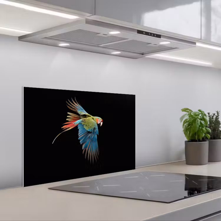 Spatscherm keuken - Papegaai - Kleurrijk - Vleugels - Sierlijk — 5