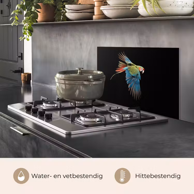 Spatscherm keuken - Papegaai - Kleurrijk - Vleugels - Sierlijk — 7