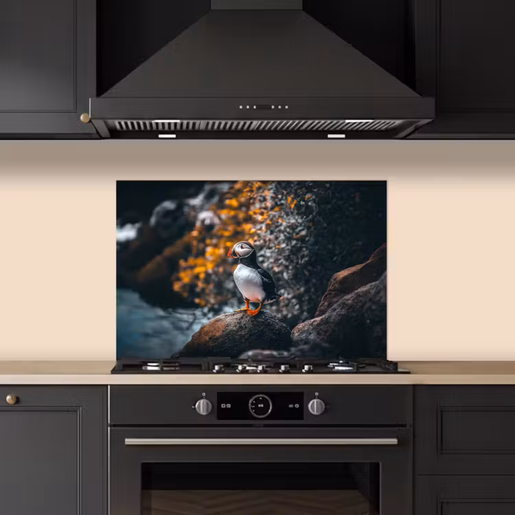 Spatscherm keuken - Papegaai - Vogel - Rots - Wit — 2