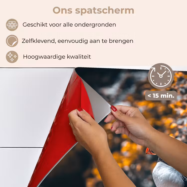 Spatscherm keuken - Papegaai - Vogel - Rots - Wit — 4