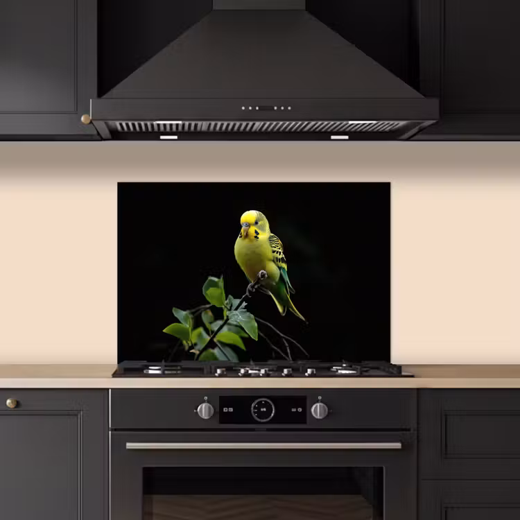 Spatscherm keuken - Parkiet - Tak - Bladeren - Geel — 2