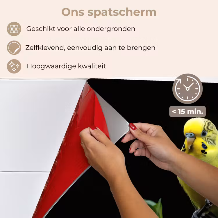 Spatscherm keuken - Parkiet - Tak - Bladeren - Geel — 4