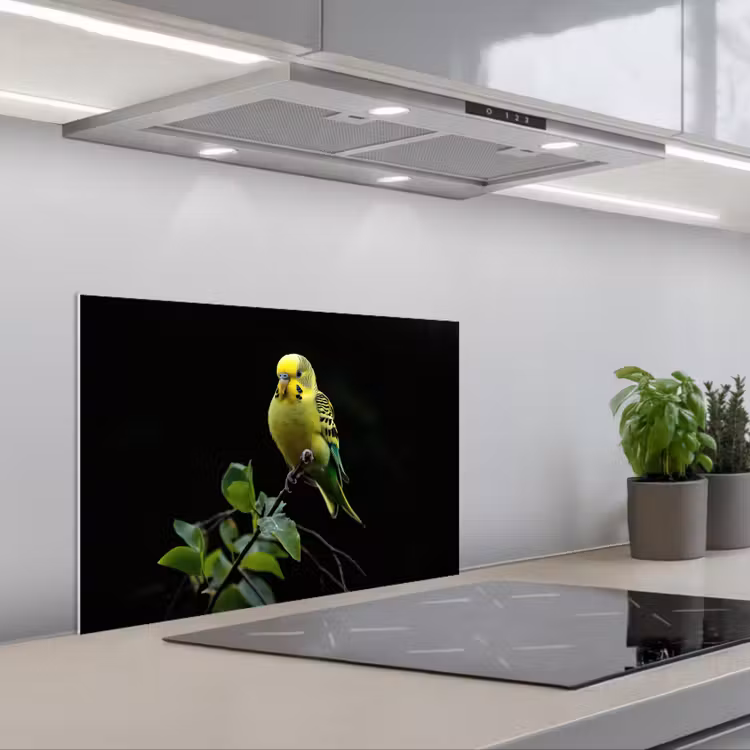 Spatscherm keuken - Parkiet - Tak - Bladeren - Geel — 5